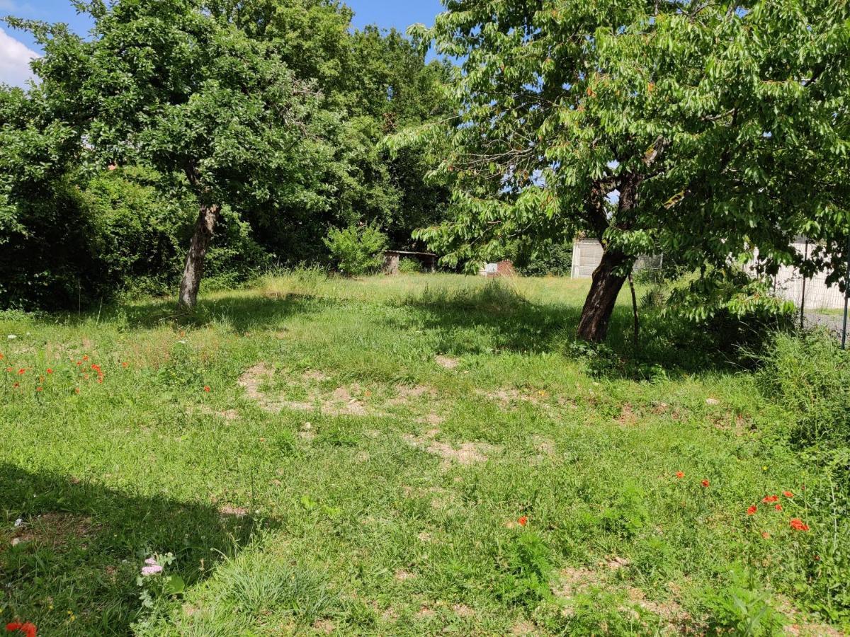 וארן ווזל Studio Spacieux Tout Equipe Avec Jardin מראה חיצוני תמונה
